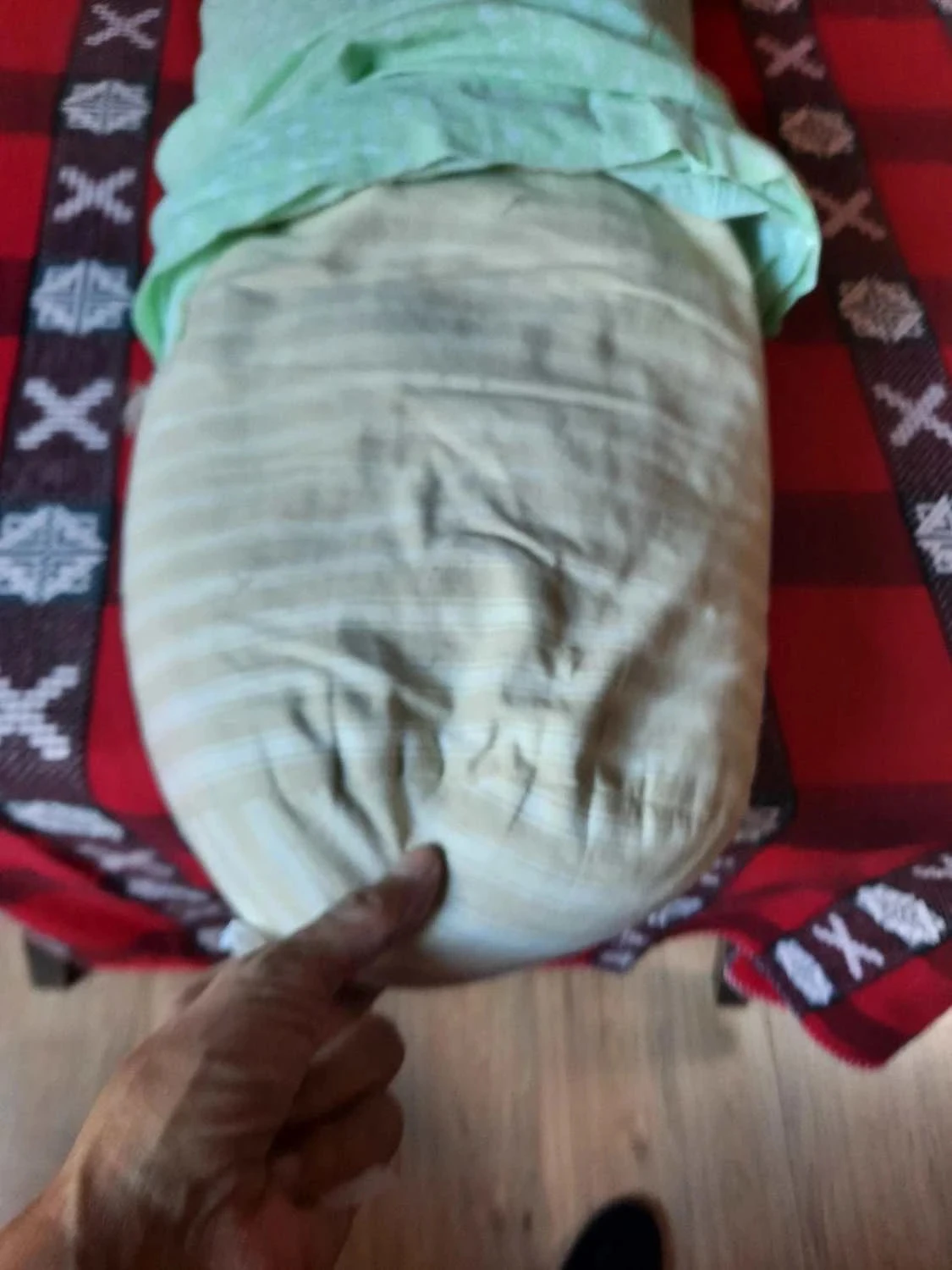🥀Grote pluche tas met veren en bijbehorende katoenen hoesje. – photo 3